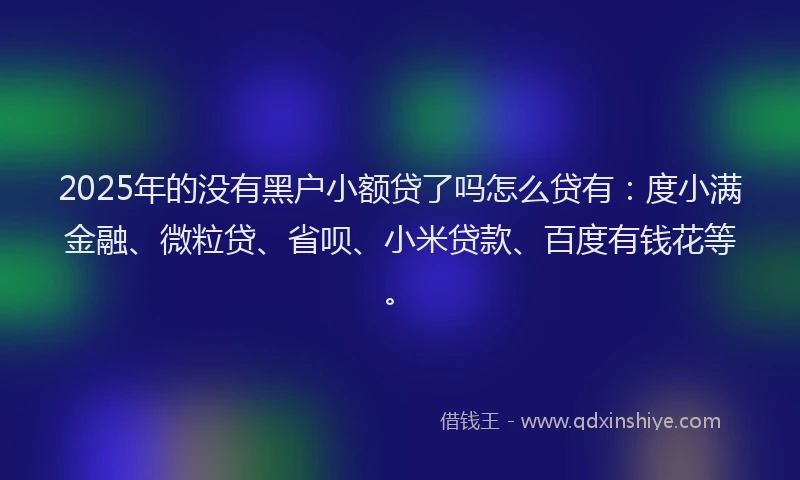 2025年的没有黑户小额贷了吗怎么贷有：度小满金融、微粒贷、省呗、小米贷款、百度有钱花等。