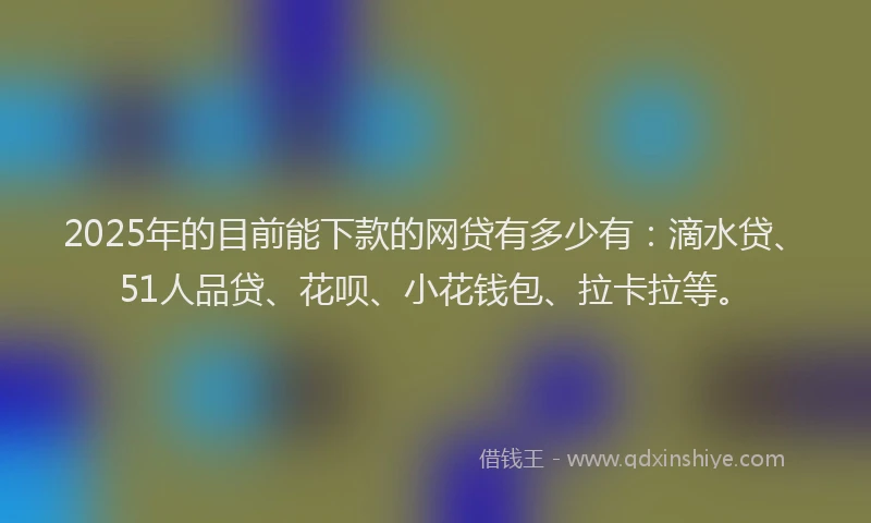 2025年的目前能下款的网贷有多少有：滴水贷、51人品贷、花呗、小花钱包、拉卡拉等。