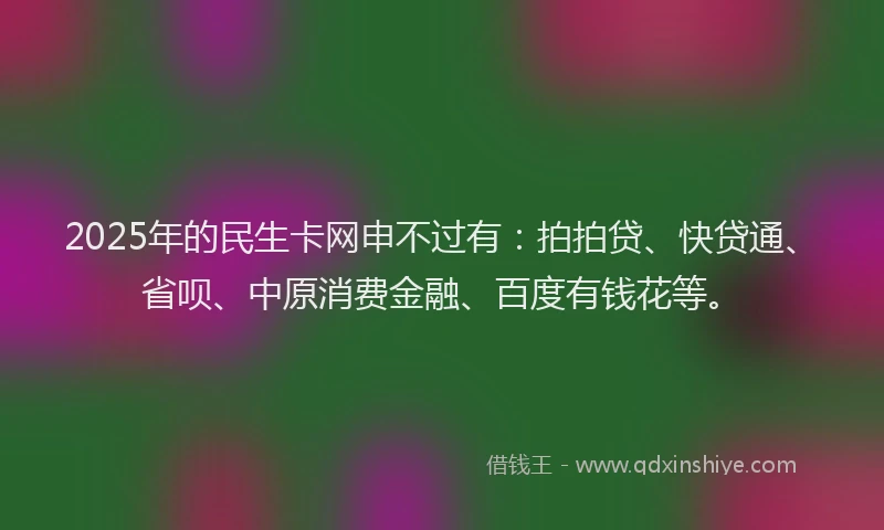 2025年的民生卡网申不过有：拍拍贷、快贷通、省呗、中原消费金融、百度有钱花等。