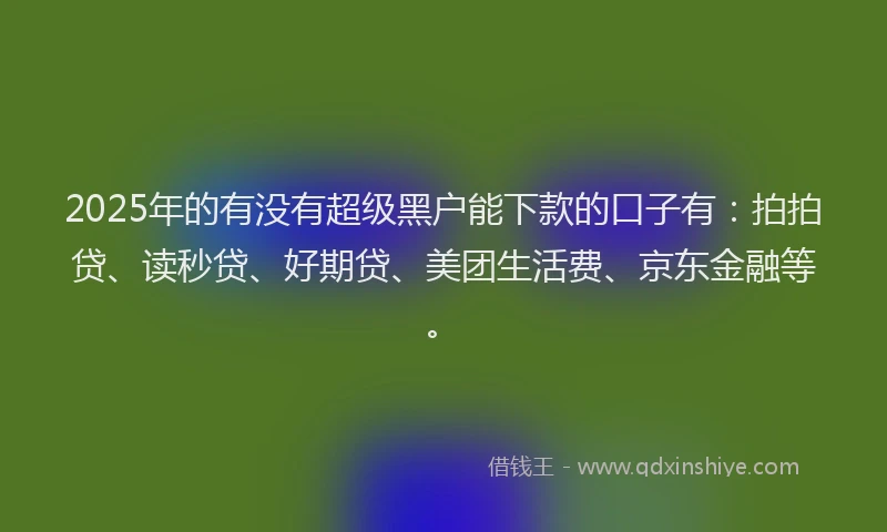 2025年的有没有超级黑户能下款的口子有：拍拍贷、读秒贷、好期贷、美团生活费、京东金融等。