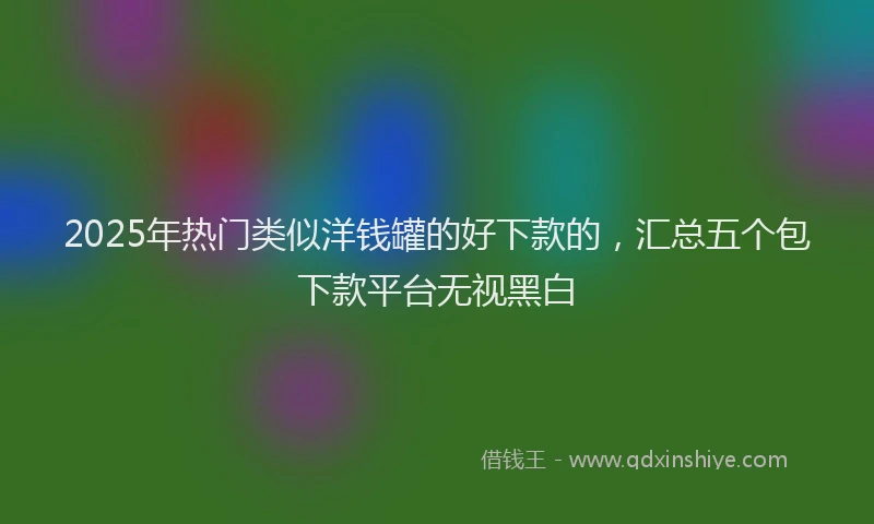 2025年热门类似洋钱罐的好下款的，汇总五个包下款平台无视黑白