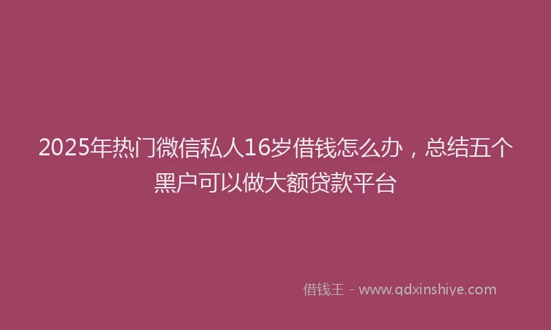 2025年热门微信私人16岁借钱怎么办，总结五个黑户可以做大额贷款平台