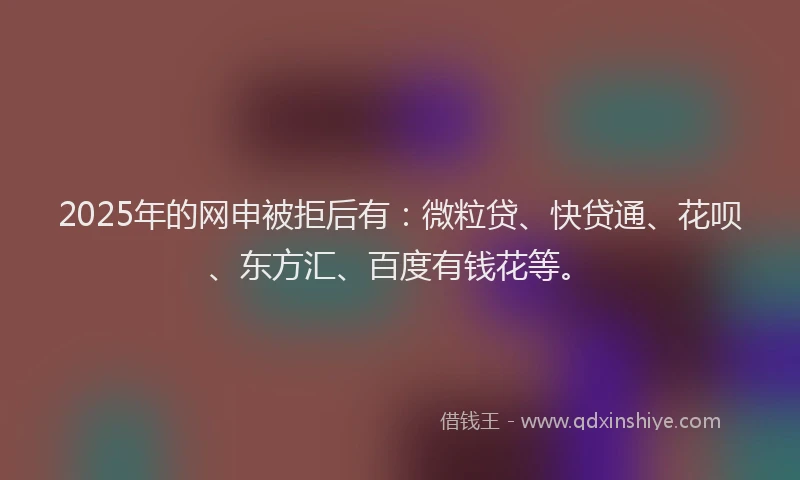 2025年的网申被拒后有：微粒贷、快贷通、花呗、东方汇、百度有钱花等。