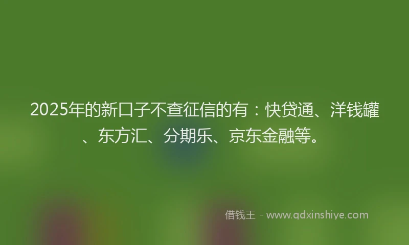 2025年的新口子不查征信的有：快贷通、洋钱罐、东方汇、分期乐、京东金融等。