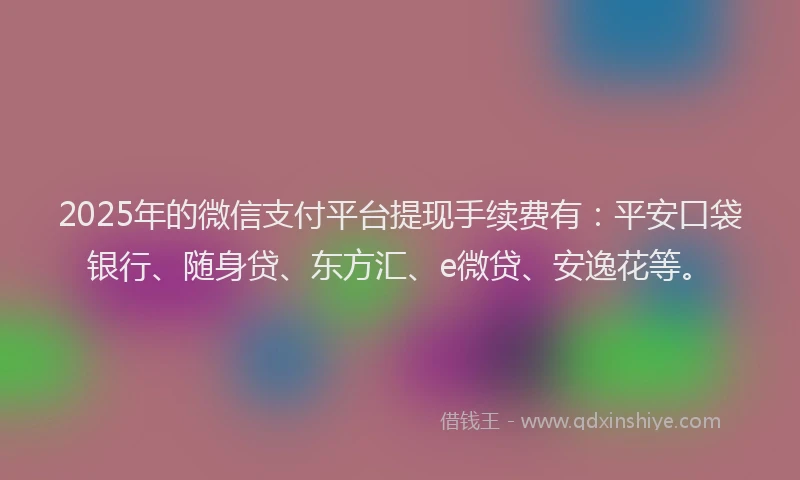 2025年的微信支付平台提现手续费有：平安口袋银行、随身贷、东方汇、e微贷、安逸花等。