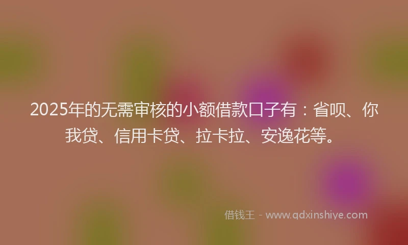 2025年的无需审核的小额借款口子有：省呗、你我贷、信用卡贷、拉卡拉、安逸花等。