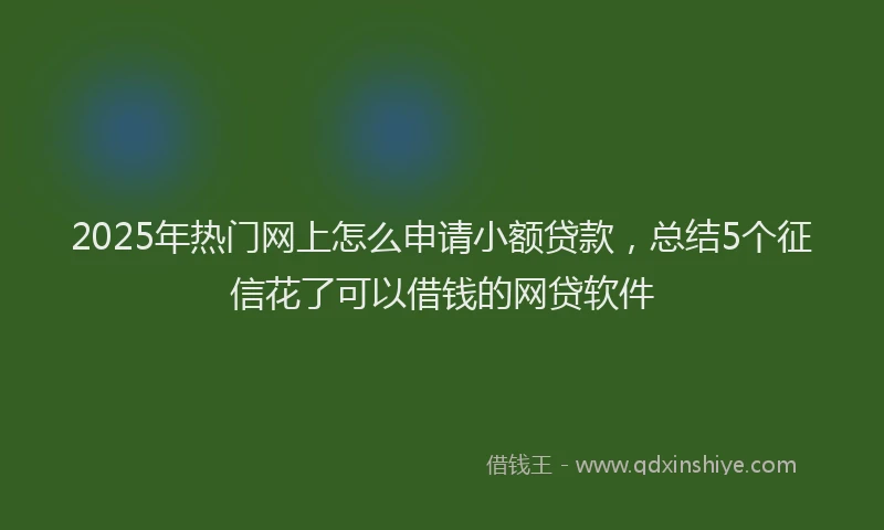 2025年热门网上怎么申请小额贷款，总结5个征信花了可以借钱的网贷软件