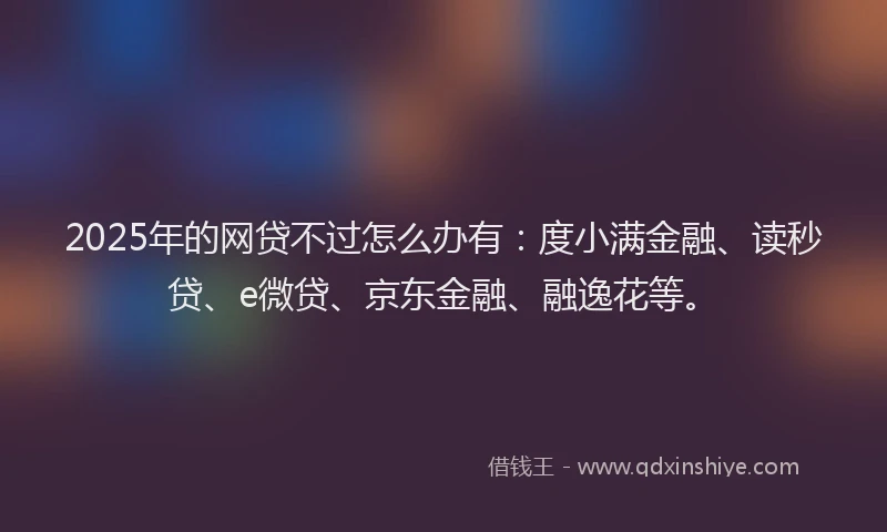 2025年的网贷不过怎么办有：度小满金融、读秒贷、e微贷、京东金融、融逸花等。