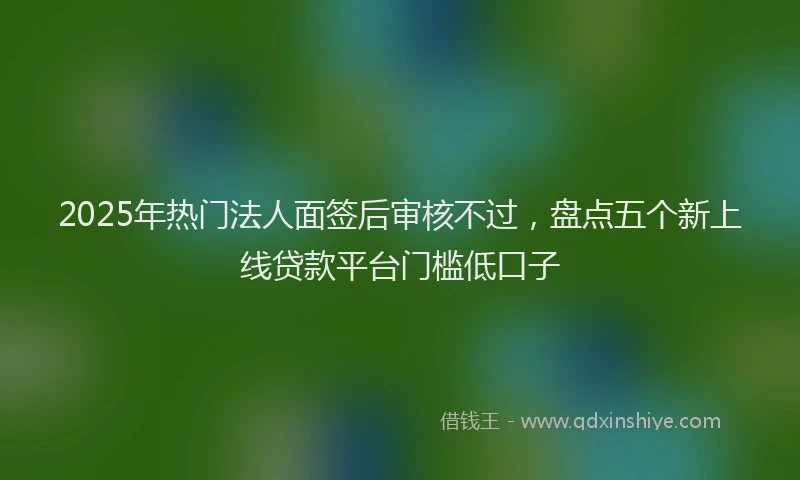 2025年热门法人面签后审核不过，盘点五个新上线贷款平台门槛低口子