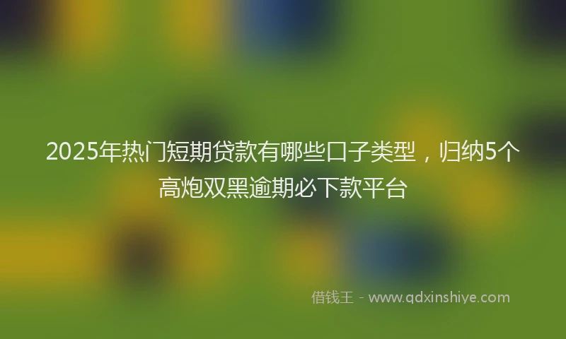 2025年热门短期贷款有哪些口子类型，归纳5个高炮双黑逾期必下款平台