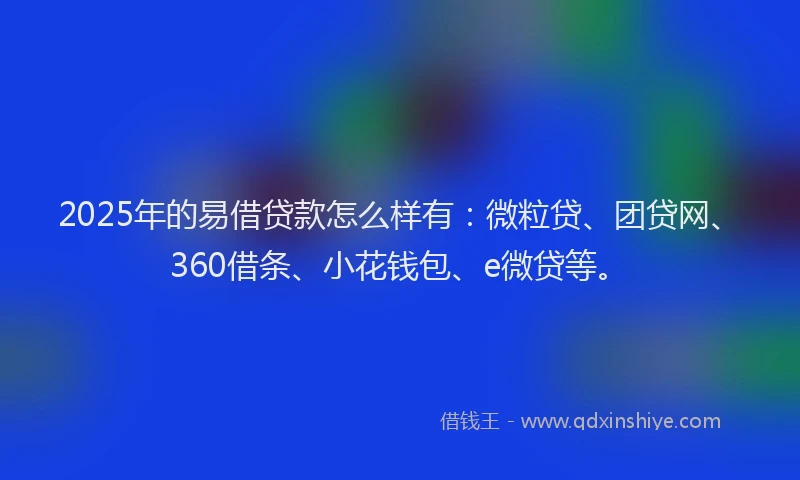 2025年的易借贷款怎么样有：微粒贷、团贷网、360借条、小花钱包、e微贷等。