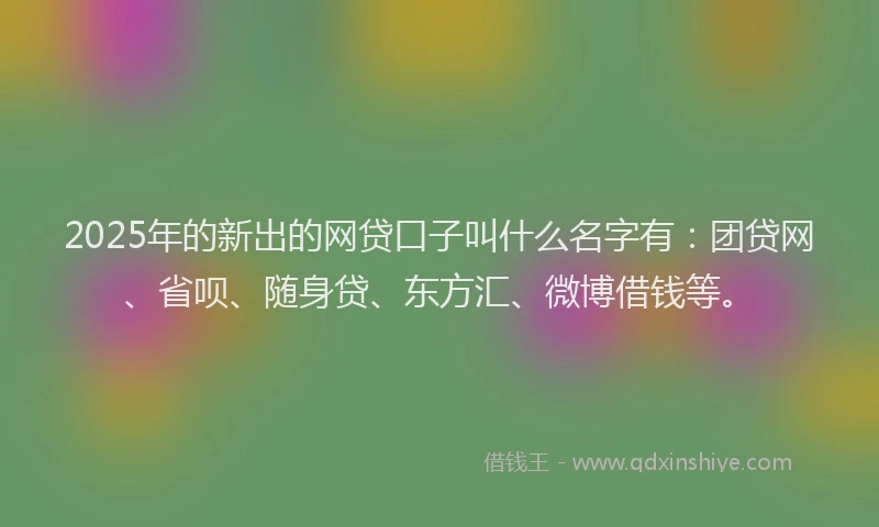 2025年的新出的网贷口子叫什么名字有：团贷网、省呗、随身贷、东方汇、微博借钱等。