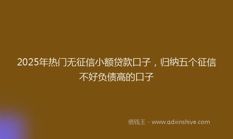 2025年热门无征信小额贷款口子，归纳五个征信不好负债高的口子
