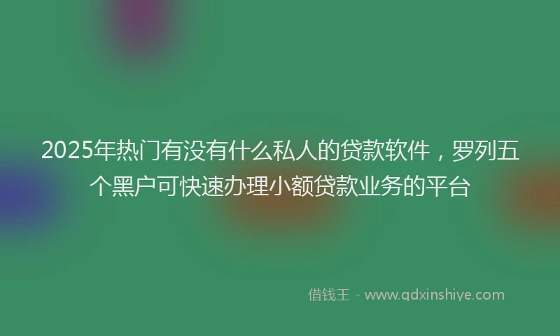 2025年热门有没有什么私人的贷款软件，罗列五个黑户可快速办理小额贷款业务的平台