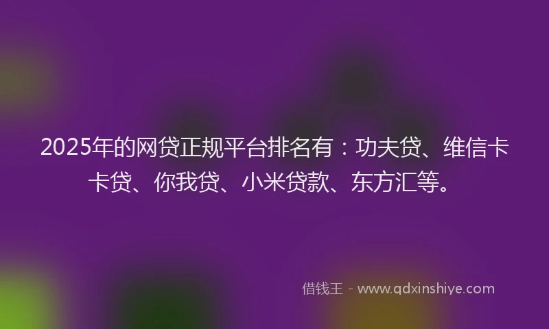 2025年的网贷正规平台排名有：功夫贷、维信卡卡贷、你我贷、小米贷款、东方汇等。