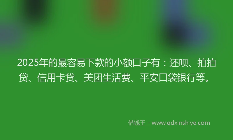 2025年的最容易下款的小额口子有：还呗、拍拍贷、信用卡贷、美团生活费、平安口袋银行等。