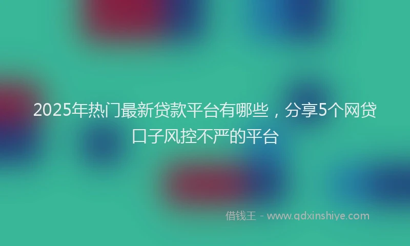 2025年热门最新贷款平台有哪些，分享5个网贷口子风控不严的平台