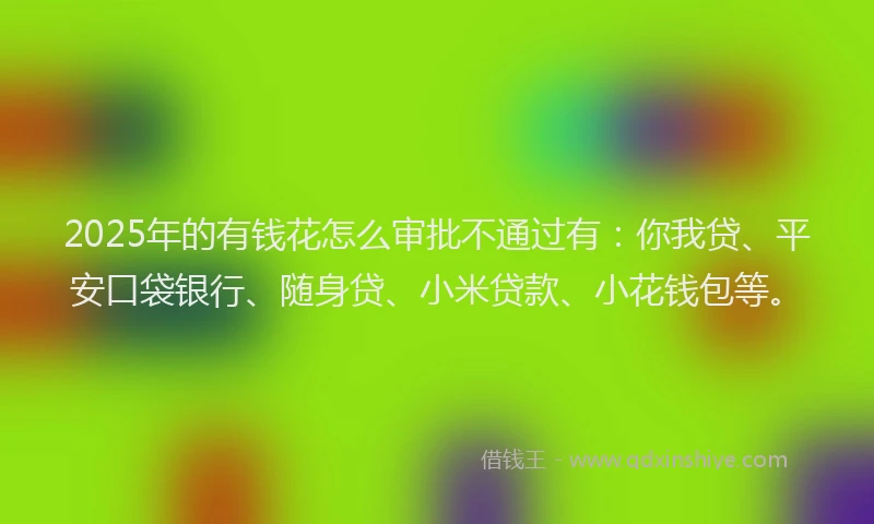 2025年的有钱花怎么审批不通过有：你我贷、平安口袋银行、随身贷、小米贷款、小花钱包等。
