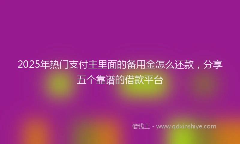 2025年热门支付主里面的备用金怎么还款，分享五个靠谱的借款平台