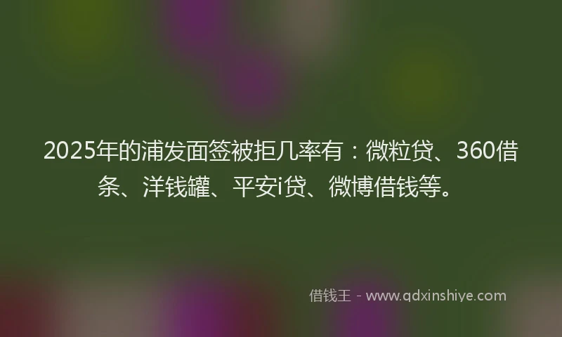 2025年的浦发面签被拒几率有：微粒贷、360借条、洋钱罐、平安i贷、微博借钱等。
