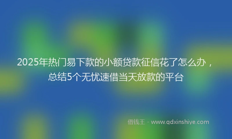 2025年热门易下款的小额贷款征信花了怎么办，总结5个无忧速借当天放款的平台