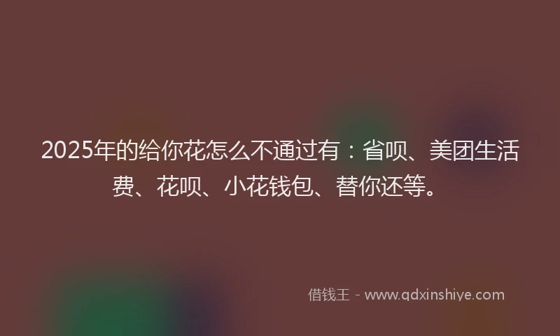 2025年的给你花怎么不通过有：省呗、美团生活费、花呗、小花钱包、替你还等。