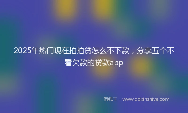 2025年热门现在拍拍贷怎么不下款，分享五个不看欠款的贷款app