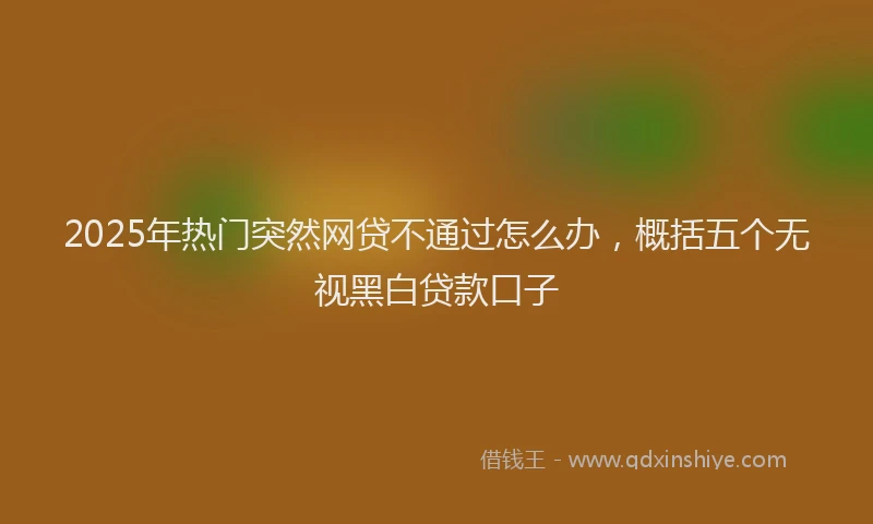 2025年热门突然网贷不通过怎么办，概括五个无视黑白贷款口子