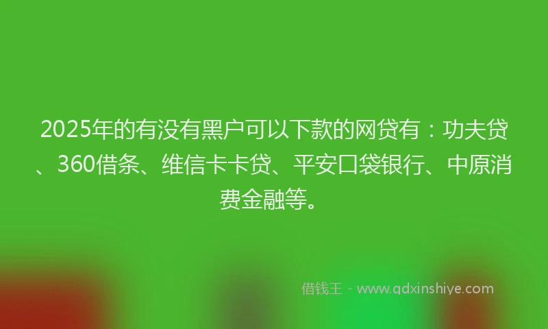 2025年的有没有黑户可以下款的网贷有：功夫贷、360借条、维信卡卡贷、平安口袋银行、中原消费金融等。