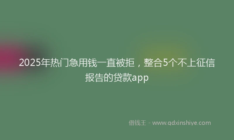 2025年热门急用钱一直被拒，整合5个不上征信报告的贷款app
