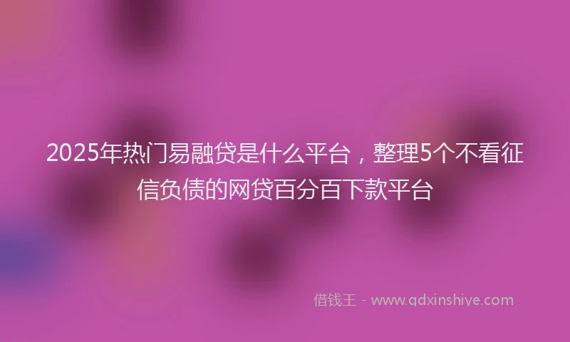 2025年热门易融贷是什么平台，整理5个不看征信负债的网贷百分百下款平台