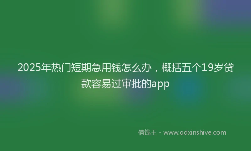 2025年热门短期急用钱怎么办，概括五个19岁贷款容易过审批的app