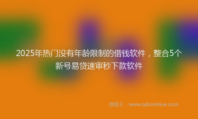 2025年热门没有年龄限制的借钱软件，整合5个新号易贷速审秒下款软件