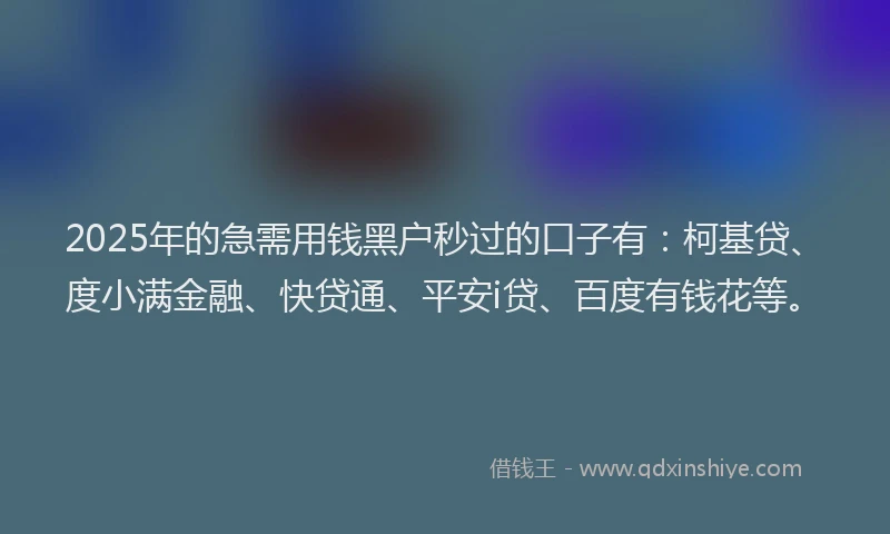 2025年的急需用钱黑户秒过的口子有：柯基贷、度小满金融、快贷通、平安i贷、百度有钱花等。