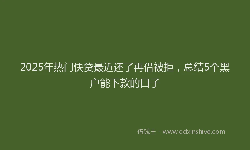 2025年热门快贷最近还了再借被拒，总结5个黑户能下款的口子
