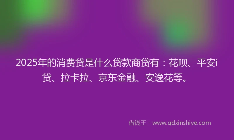 2025年的消费贷是什么贷款商贷有：花呗、平安i贷、拉卡拉、京东金融、安逸花等。