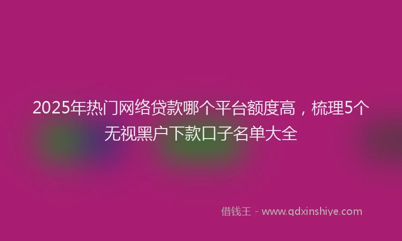 2025年热门网络贷款哪个平台额度高，梳理5个无视黑户下款口子名单大全
