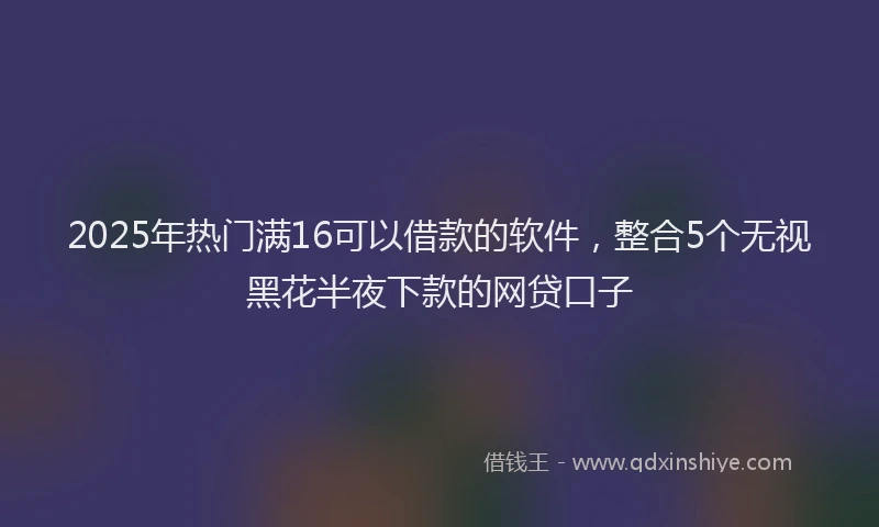 2025年热门满16可以借款的软件，整合5个无视黑花半夜下款的网贷口子