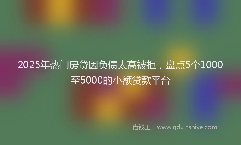 2025年热门房贷因负债太高被拒，盘点5个1000至5000的小额贷款平台