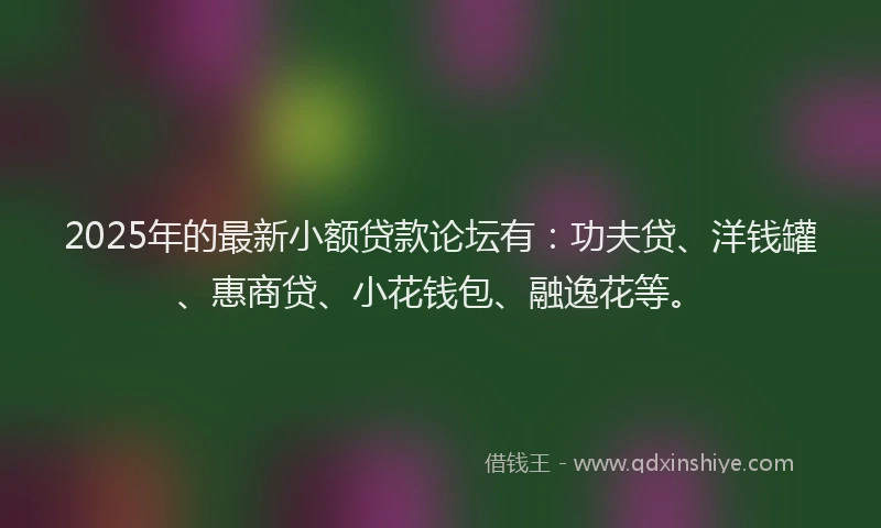 2025年的最新小额贷款论坛有：功夫贷、洋钱罐、惠商贷、小花钱包、融逸花等。