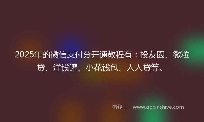 2025年的微信支付分开通教程有：投友圈、微粒贷、洋钱罐、小花钱包、人人贷等。