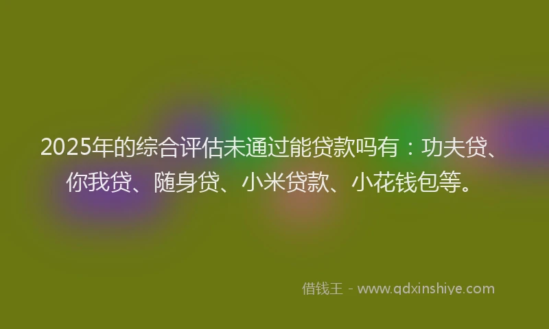 2025年的综合评估未通过能贷款吗有：功夫贷、你我贷、随身贷、小米贷款、小花钱包等。