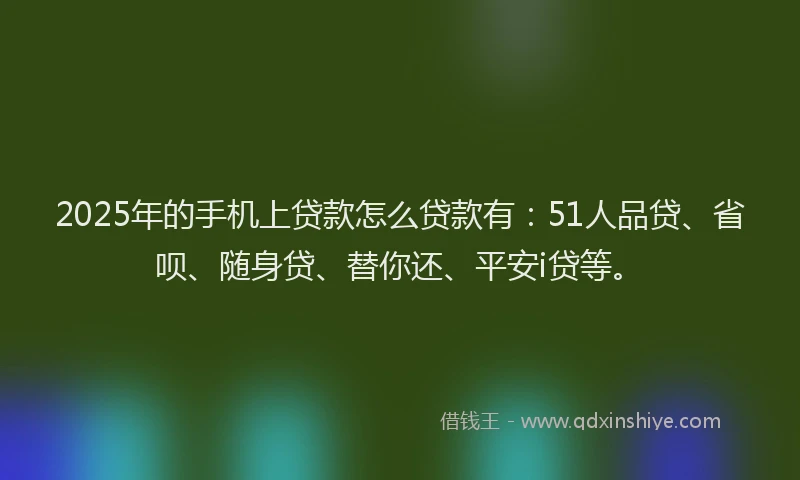 2025年的手机上贷款怎么贷款有：51人品贷、省呗、随身贷、替你还、平安i贷等。