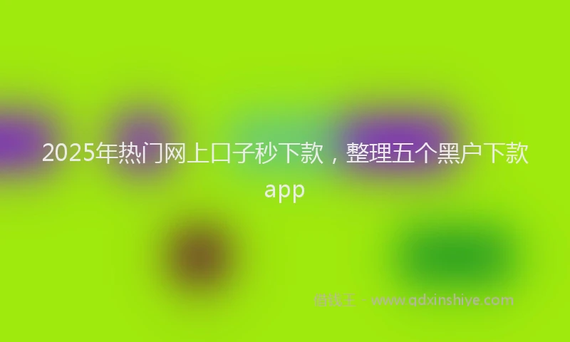 2025年热门网上口子秒下款，整理五个黑户下款app