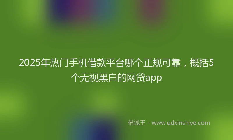 2025年热门手机借款平台哪个正规可靠，概括5个无视黑白的网贷app