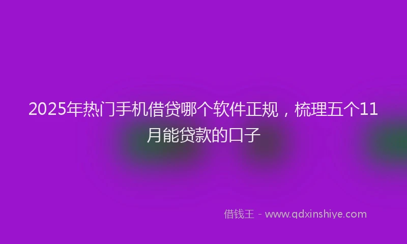 2025年热门手机借贷哪个软件正规，梳理五个11月能贷款的口子