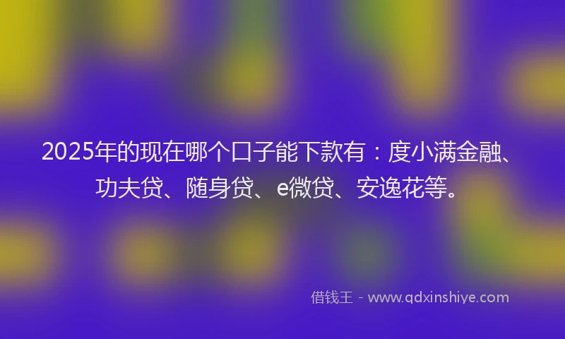 2025年的现在哪个口子能下款有：度小满金融、功夫贷、随身贷、e微贷、安逸花等。
