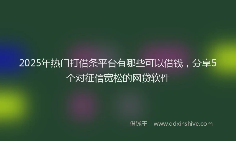 2025年热门打借条平台有哪些可以借钱，分享5个对征信宽松的网贷软件