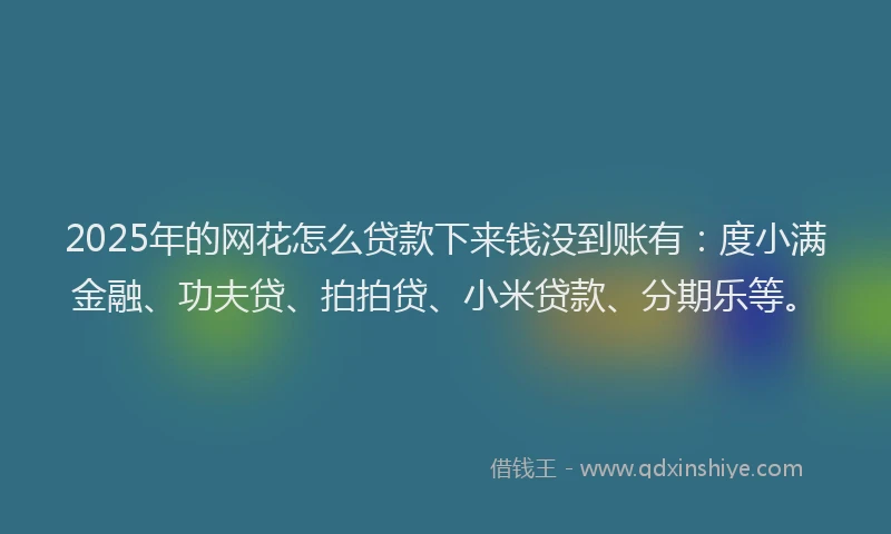 2025年的网花怎么贷款下来钱没到账有：度小满金融、功夫贷、拍拍贷、小米贷款、分期乐等。
