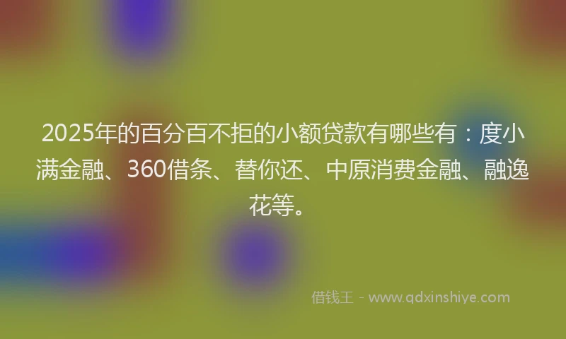 2025年的百分百不拒的小额贷款有哪些有：度小满金融、360借条、替你还、中原消费金融、融逸花等。